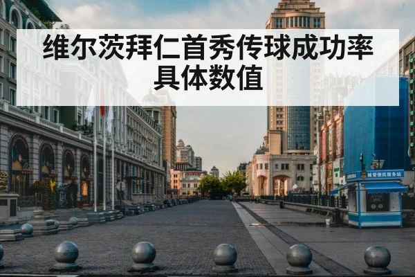 维尔茨拜仁首秀传球成功率具体数值