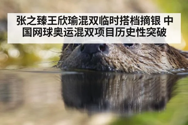 张之臻王欣瑜混双临时搭档摘银 中国网球奥运混双项目历史性突破